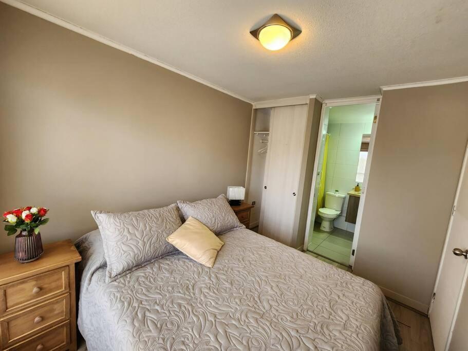 Acogedor Apartamento En Centro De Santiago. エクステリア 写真